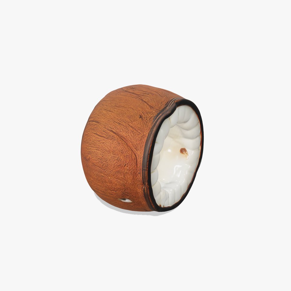 Tropical Coconut Interior model pack